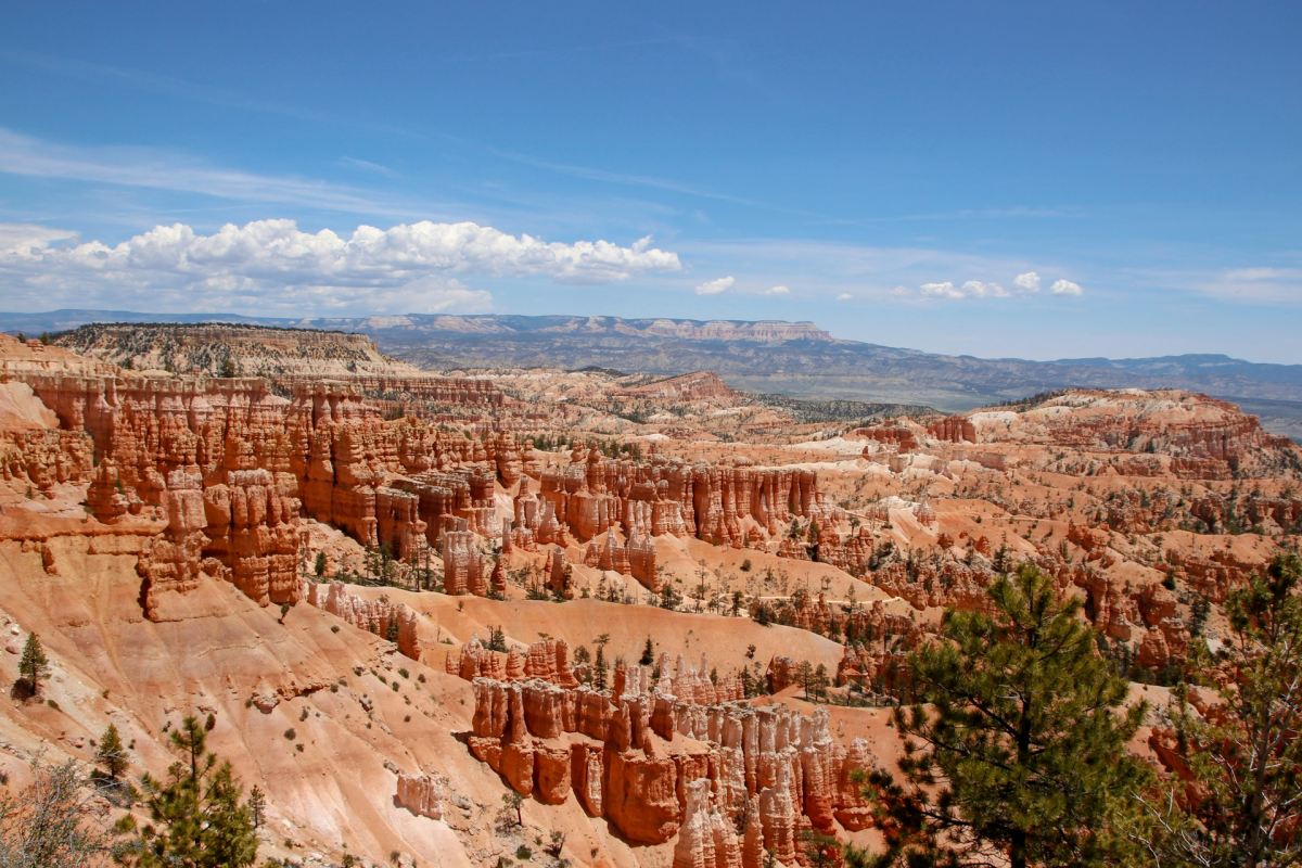 bryce canyon national park in june
