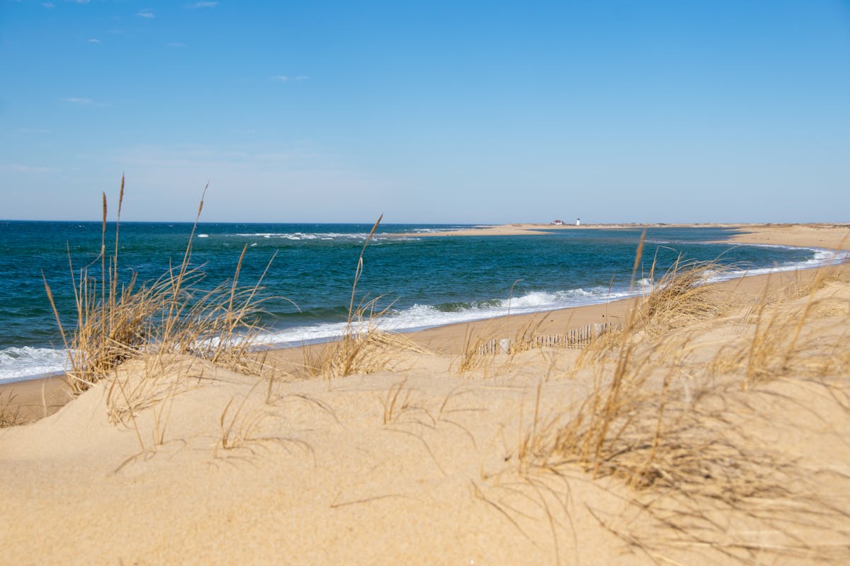 cape cod in june
