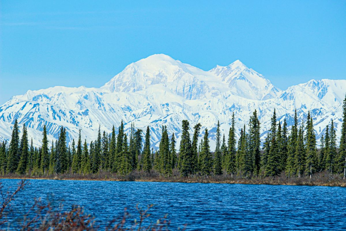 denali national park is one of the best places to visit in june in the usa