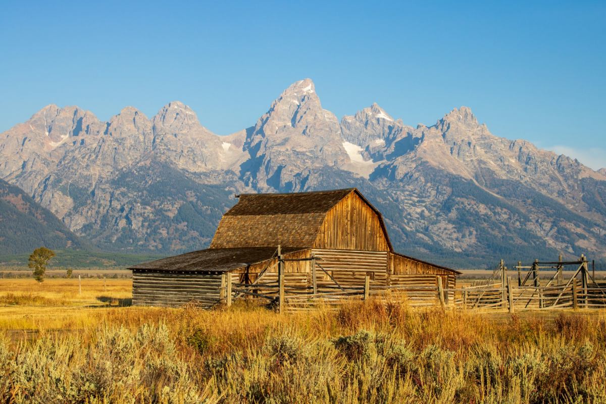 jackson hole in august is a must